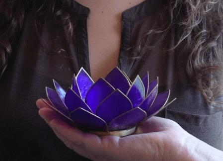 Lotus Healing Training  Part 3