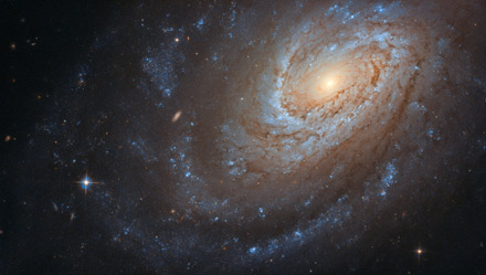 starprietsress-vorschau